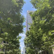 緑も多くて気持ちいい