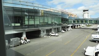 宿泊先の湯の川温泉が近くて、便利でした。