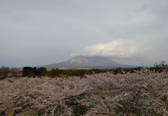 駒ヶ岳が美しい
