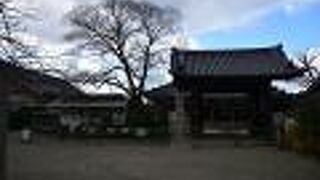 1300年の歴史を持つ奈良の国宝的存在の寺