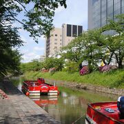 桜が咲くころは綺麗なんだろうな～