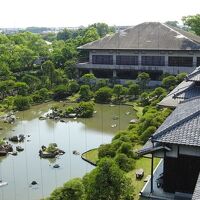 芍薬の間から見た松濤園