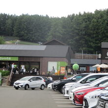 奥でメロンを販売