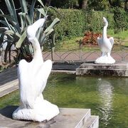 【ペリカン噴水】２羽の白いペリカンがユーモラス