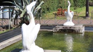 【ペリカン噴水】２羽の白いペリカンがユーモラス