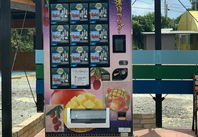 マンゴーの自販機