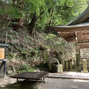 せっかくなので炭酸泉の源泉を飲んでみた！