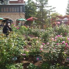 ここを歩くとオレもどこかの国の王女様！？？