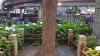 一石橋迷子しらせ石標