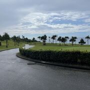 雨で大変です