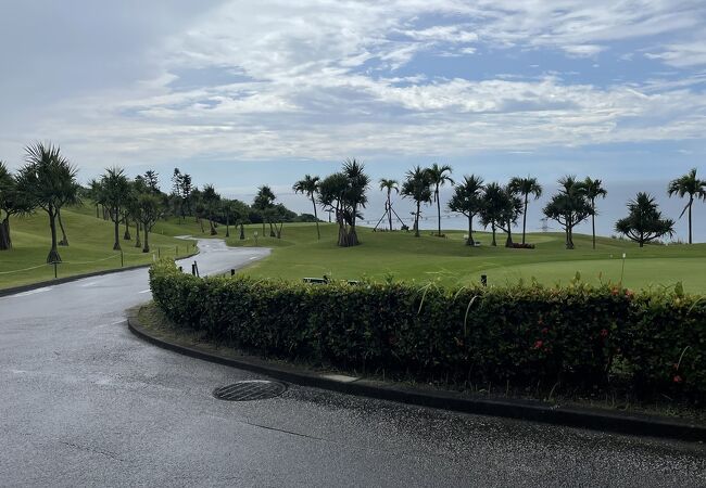 雨で大変です