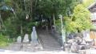 苔むした参道が独特な趣を感じる寺院