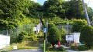 山の斜面に鎮座する小さな神社