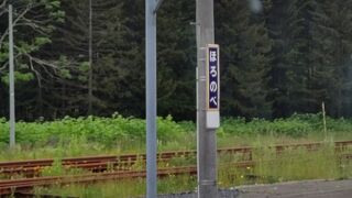 本線ですがローカル線ムード満点