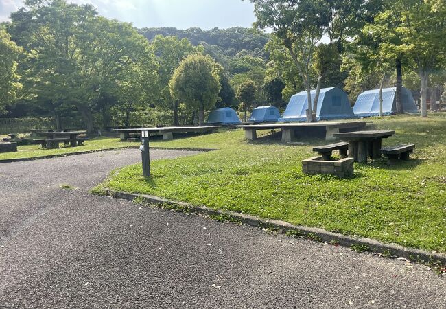 子供が楽しめるキャンプ場