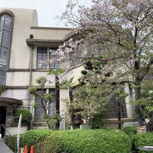 見事な桜の樹があります。