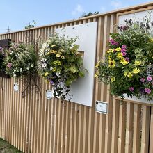 ハンギングの作品、賞がついています