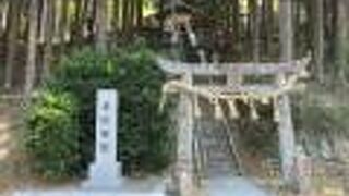 神秘的な雰囲気