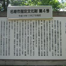 実は名寄公園の一番の見所はミズナラの純林だと思います！