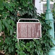 日本橋幼稚園の駐輪場に説明板