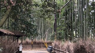 嵐山の有名な道！