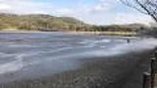 のんびりとした風景！