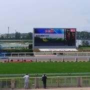 コンパクトな競馬場