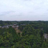 16階フォレスト側の部屋からの眺め