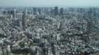 都心を一望