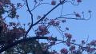 仙台堀川親水公園♪