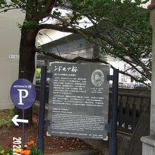 全体の景観です。