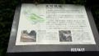 アメリカ山公園でも見つかったのです。