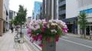 優しい雰囲気の商店街を三島広小路駅から三嶋大社まで歩きました