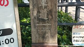 みなとみらい２１地区にある海を渡る遊歩道