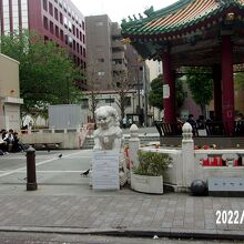 全体の様子です。