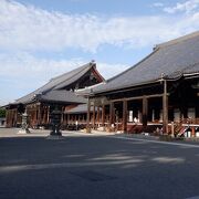 京都駅から徒歩圏内の大きな寺院でした。