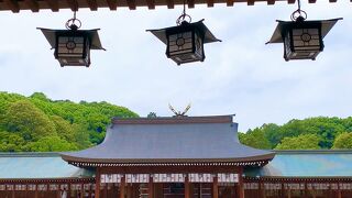 その年の干支の大きな絵馬が飾られています。　天皇家に縁がある、とても大きな神社です。