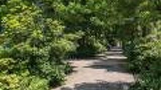 アメリカ大使館とインターシティＡＩＲの間の道、だけど、アメリカ大使館横の歩道は歩けない