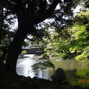 緑の小径から、鈴木大拙美術館に行く途中に、松風閣庭園の入口がありました。