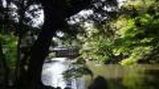 緑の小径から、鈴木大拙美術館に行く途中に、松風閣庭園の入口がありました。