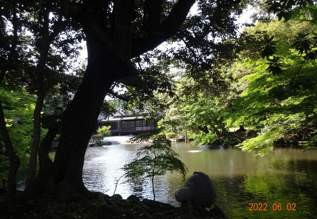 緑の小径から、鈴木大拙美術館に行く途中に、松風閣庭園の入口がありました。