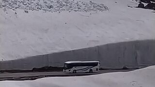 ６月下旬おすすめ