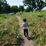 ウトロに来たら必ず寄ります