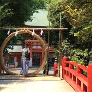 令和四年「大宮氷川神社」茅の輪くぐり  夏越しの大祓い