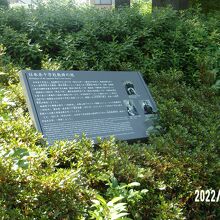 全体の様子です。