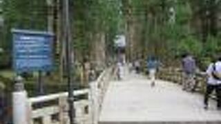 高野山では奥の院にお参りすることになりますが、この橋は必ず渡ることになります。