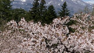 岩木さんをバックに