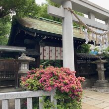 ごく小さな境内だが風格からか大きく感じる