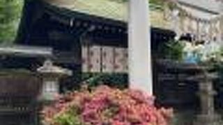 飲食街を守るかのように