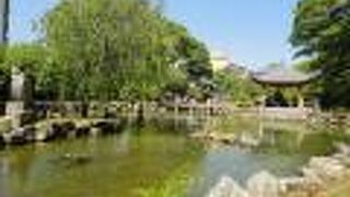 岐阜公園の北側